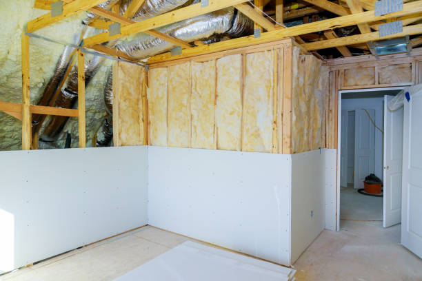Insulation Replacement Services in Monroe, IA